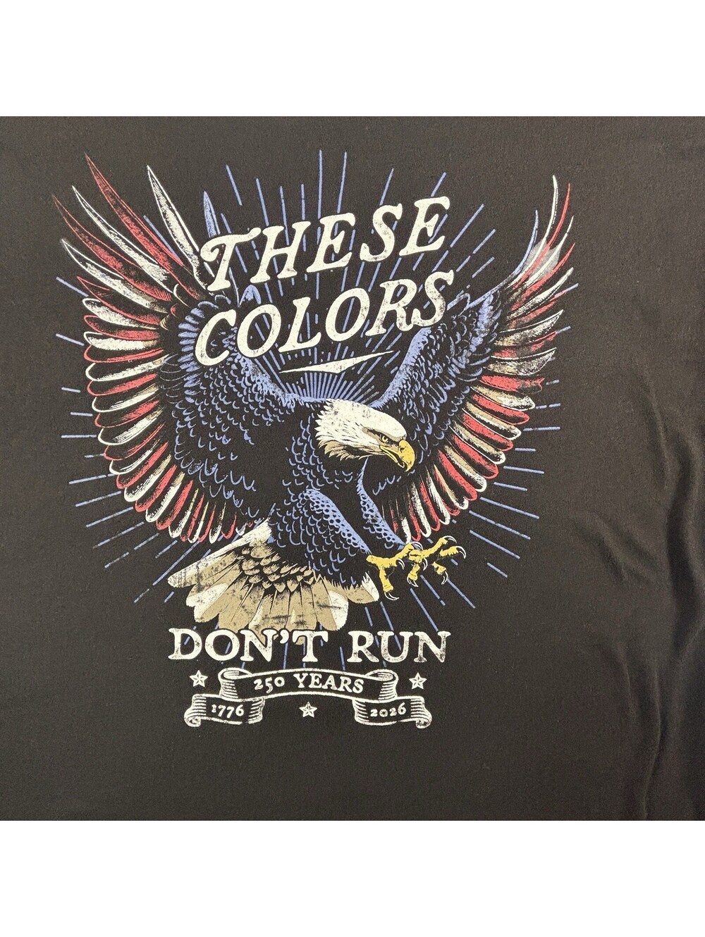 Celebrate Patriotic T Shirt These Colors Dont Run Bald Eagle Black Xl